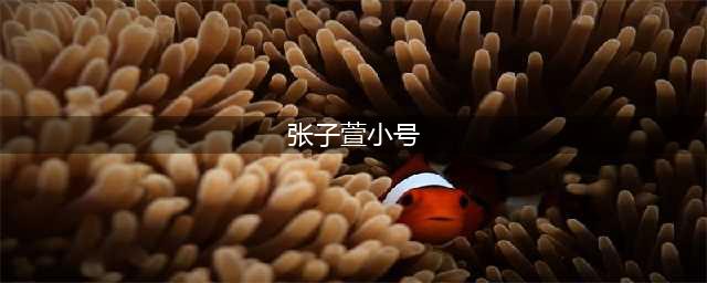 张子萱小号迪西妈咪被扒 微博发文破尺度因与赤赤分手受刺激？(张子萱小号)