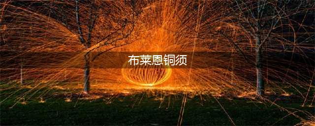 《魔兽世界怀旧服》布莱恩·铜须的信任务怎么做 布莱恩·铜须的信任务攻略(布莱恩铜须)