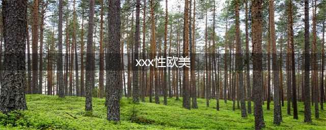 XX性爱，XX黄片一部揭示成人电影背后秘密的大胆之作(xxx性欧美)