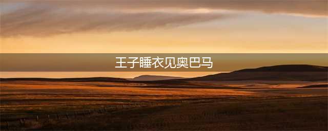 英国乔治王子睡衣见奥巴马 握手娴熟表情呆萌(王子睡衣见奥巴马)