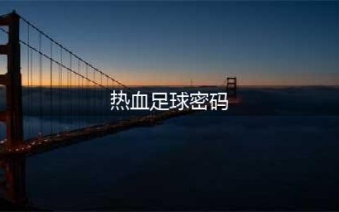 热血足球攻略技巧 世界杯全技能密码分享