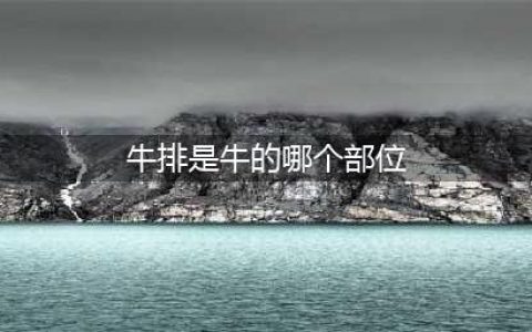 牛 排 是 牛 的 哪 个 部 位？(牛排是牛的哪个部位)