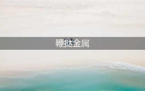 用心费力：死亡金属版METALLICA《……伸张正义》整张(鞭挞金属)
