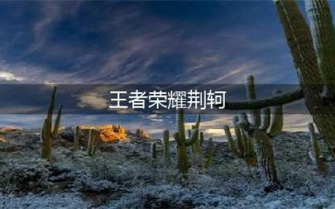 王者荣耀荆轲技巧分享（荆轲有什么技巧）(王者荣耀荆轲)