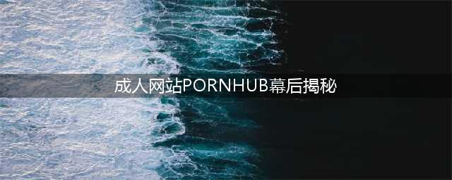 揭秘全球最大成人网站背后的秘密(成人网站PORNHUB幕后揭秘)