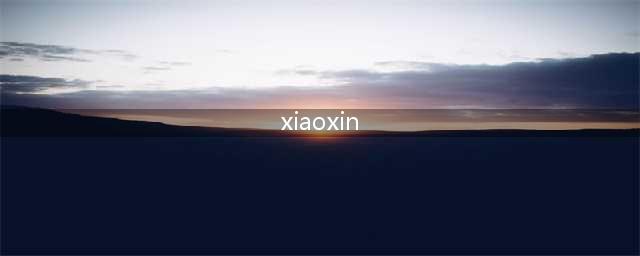 他是被PDD戏称买不起电脑的小学生，实力惊人，曾是4AM战队队员(xiaoxin)
