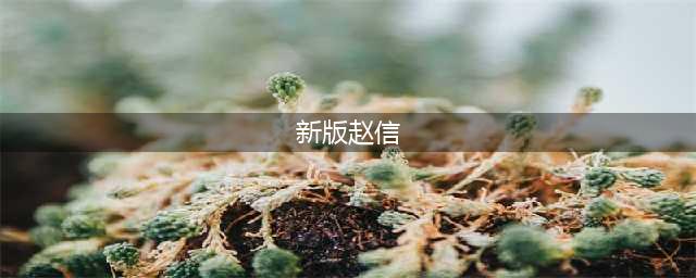 《英雄联盟》S11新版赵信怎么玩 新版赵信玩法推荐(新版赵信)