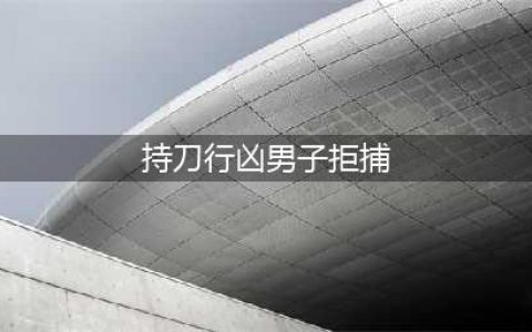 持刀行凶男子拒捕 砍伤辅警后被民警开枪控制(持刀行凶男子拒捕)