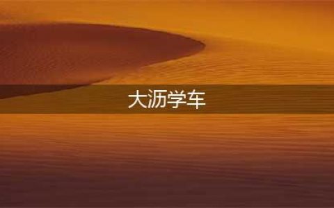 学车认准它们！大沥正规驾校招生点名单都在这啦！(大沥学车)