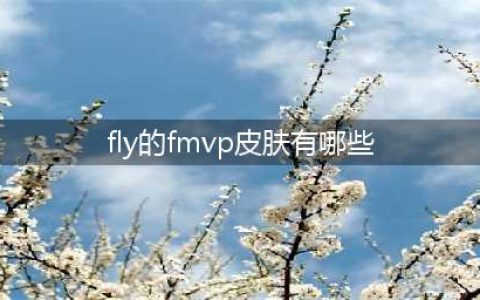 《王者荣耀》fly的fmvp皮肤有哪些 fly的fmvp皮肤介绍(fly的fmvp皮肤有哪些)