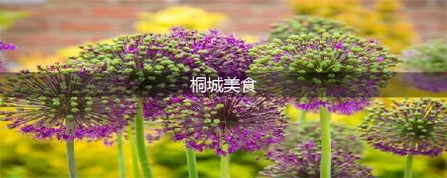 桐城人的年夜饭，不要错过这些美食！(桐城美食)