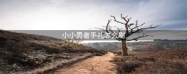 《小小勇者》手札集齐技巧介绍 手札集齐如何解决(小小勇者手礼怎么刷)