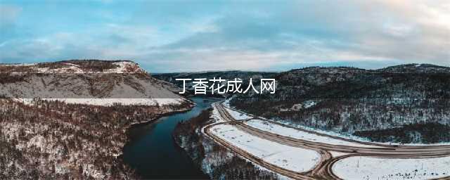 “丁香”色情网的覆灭7.3亿浏览量的秘密(丁香花成人网)