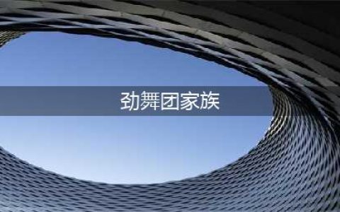 《劲舞团》家族怎么创建 家族创建方法(劲舞团家族)