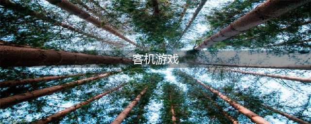客机模拟飞行大型游戏2022 几款客机模拟飞行的大型游戏推荐(客机游戏)