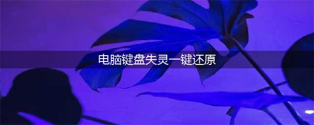 电脑键盘失灵有哪些解决方法(电脑键盘失灵一键还原)