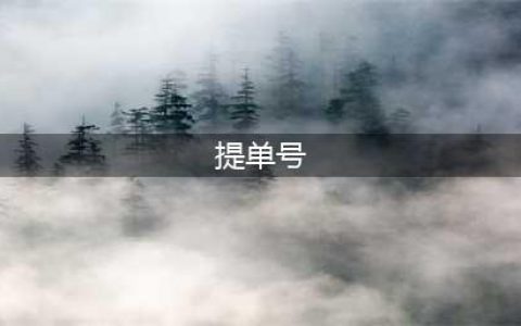 提单号和订舱号区别(提单号)