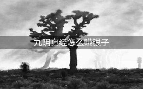 《九阴真经》3d赚官银途径 3d怎么赚官银(九阴真经怎么赚银子)