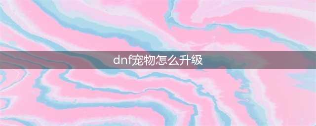 《DNF》年套宠物怎么升永久 年套宠物变永久方法教程(dnf宠物怎么升级)