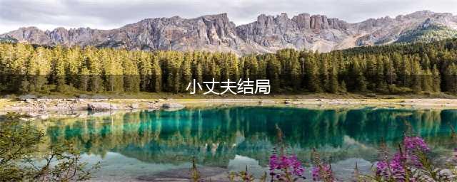 优酷《小丈夫》破25亿收官 俞飞鸿杨玏终在一起(小丈夫结局)
