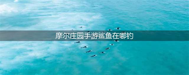 《摩尔庄园》鲨鱼在哪里钓 鲨鱼钓取攻略