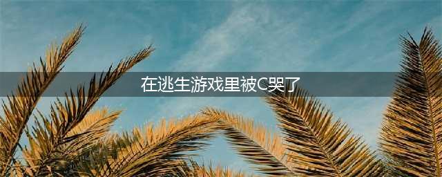 《逃脱者困境突围》美洲狮湾铁路怎么过 通关技巧流程攻略(在逃生游戏里被C哭了)