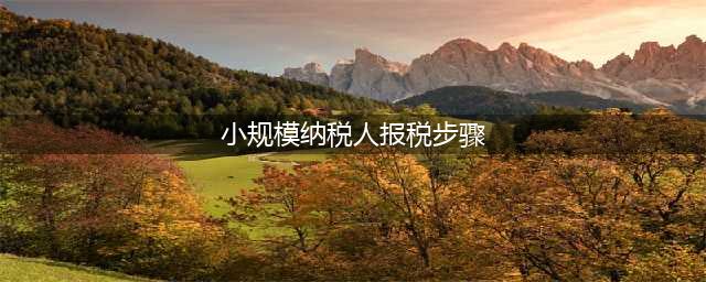 小规模纳税人怎么报税？报税流程是什么？(小规模纳税人报税步骤)