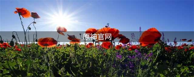 《原神》官网地址是多少 官网地址入口分享