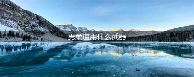 《DNF》男柔道CP武器解析(男柔道用什么武器)