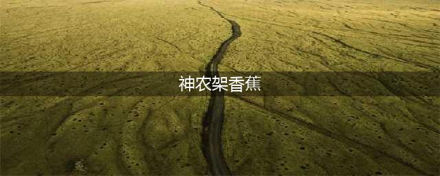 像尸体颜色的“死人手指”香蕉 ，你敢吃吗？(神农架香蕉)