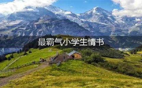 七夕来了，最霸气小学生情书刷爆成都人的朋友圈！(最霸气小学生情书)