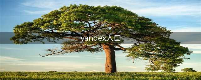 俄罗斯“老司机”必备应用软件(yandex入口)