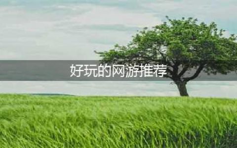 什么网游比较好玩的推荐2021 好玩的网游排行榜(好玩的网游推荐)