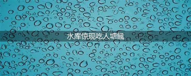 塘鲺吃人事件是真是假 塘鲺肚中竟然有人的骸骨(水库惊现吃人塘鲺)