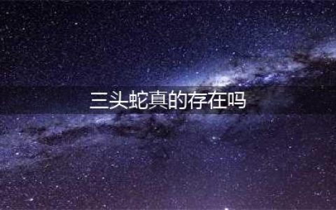 《恶果之地》三头蛇BOSS怎么打 三头蛇BOSS打法技巧攻略(三头蛇真的存在吗)