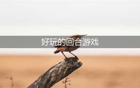 2021十大好玩的回合制网络游戏 回合制网络游戏下载大全(好玩的回合游戏)
