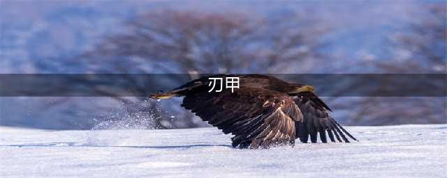 《刀塔霸业》刃甲怎么样 刃甲介绍(刃甲)