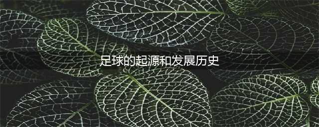 【干货】你一定要懂得的足球的起源和发展(足球的起源和发展历史)