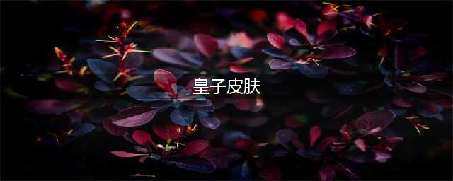 《lol手游》皇子皮肤有哪些 皇子皮肤汇总一览(皇子皮肤)