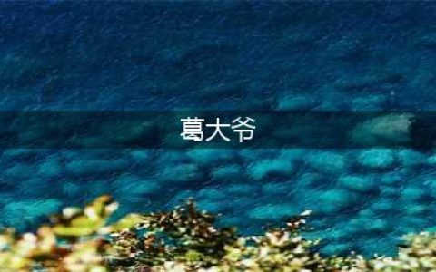 人送外号“葛大爷”，这位高考热点人物你了解多少？(葛大爷)