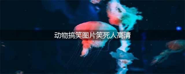 十一张动物搞笑图片，每一张都笑死人了(动物搞笑图片笑死人高清)