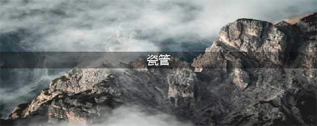 《无主之地3》瓷管炸弹怎么得 瓷管炸弹获得方法介绍(瓷管)