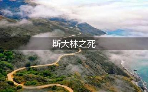 历史上的斯大林之死，你们知道斯大林是怎么死的吗？(斯大林之死)