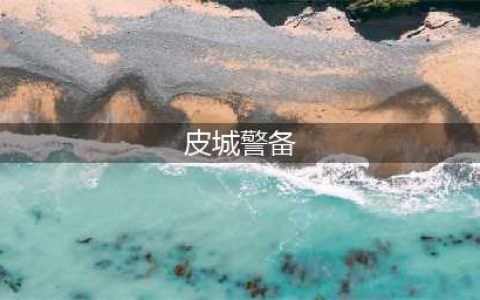 《lol》皮城警备是什么区 皮城警备介绍(皮城警备)