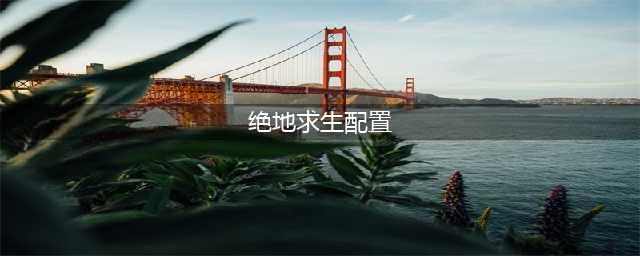 《绝地求生》电脑配置要求详解 显卡是重点(绝地求生配置)