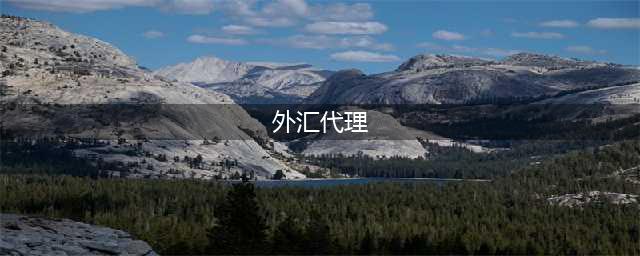怎么做外汇平台代理?做外汇代理能提多少?(外汇代理)