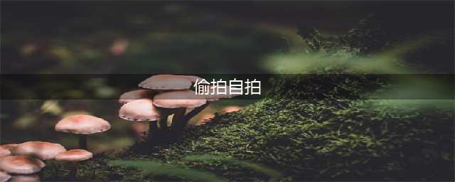 偷拍100名女性开房视频的“91大神”被抓：竟是有妻有女的百万年薪高管……(偷拍自拍)