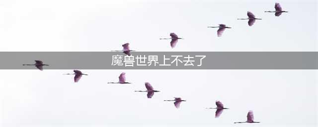 《魔兽世界怀旧服》上不去怎么解决呢 上不去解决方法介绍(魔兽世界上不去了)