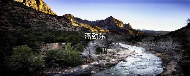 90年代红极一时，因入室伤人被判刑，从而退出歌坛，如今销声匿迹(潘劲东)