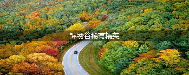 魔兽世界锦绣谷稀有精英位置在哪 锦绣谷稀有精英位置分享